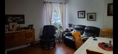 Beau 3 et demi à Lévis près de tout ( traversier, Desjardins, centre d'achat ). Situé au rez-de-chau...