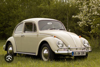 LOOKING FOR vw beetle 