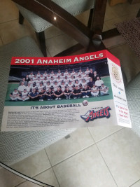 Anaheim Angel's card