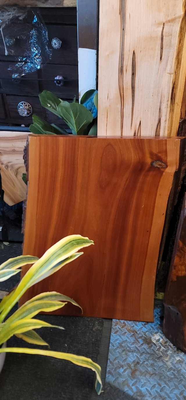 Planches de bois local finies à l'huile  dans Décoration intérieure et accessoires  à Laval/Rive Nord - Image 4