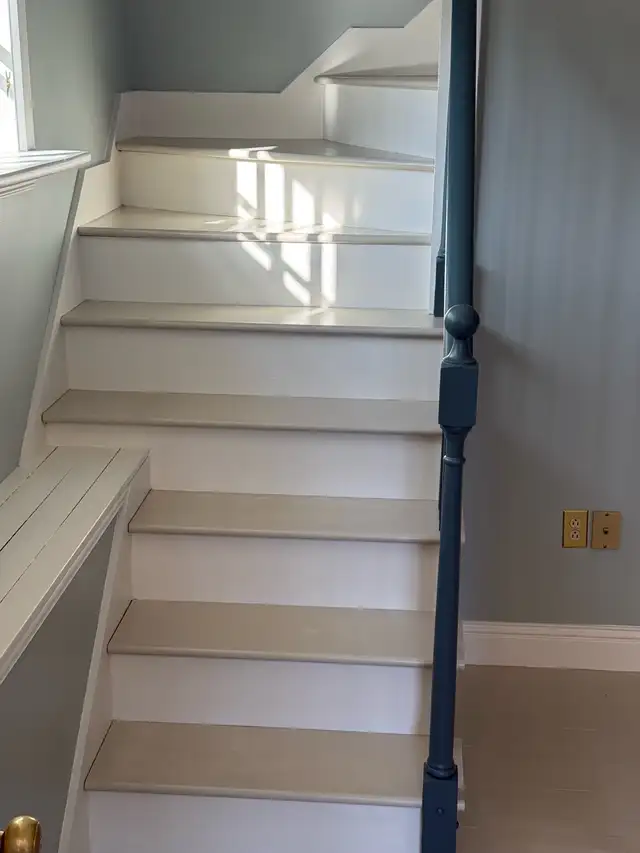 Professional painters 64985459573633120