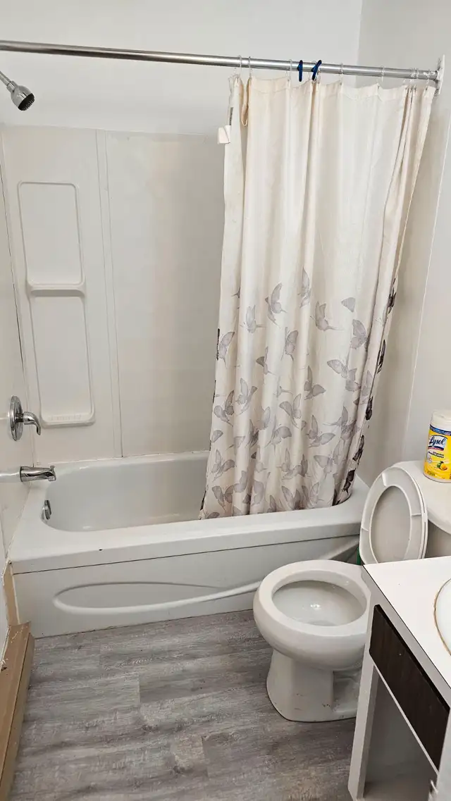 Newly renovated bachelor apartment for rent.  $1000.00 + hydro.63436972227459122