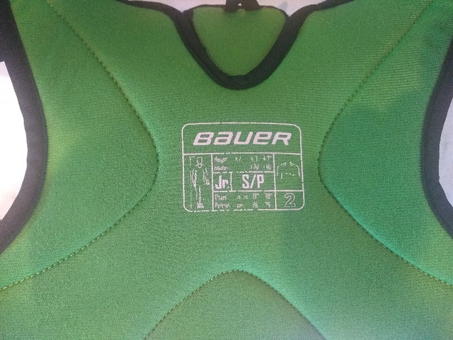 Chest Protector Junior Small in Hockey in Ottawa - Image 3