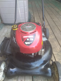 Get your Lawnmower & trimmer ready for spring.