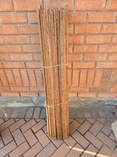 I am offering a bundle of approximately 50 tobacco sticks, perfect for various gardening or crafting...