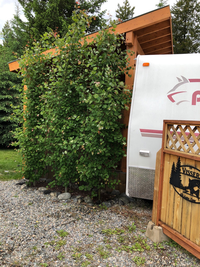 Recreational lot for sale Land for Sale Cranbrook Kijiji