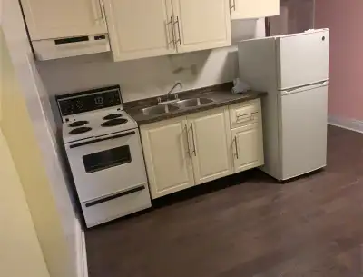 Location! Location! Bloor and Bathurst - IN THE ANNEX. 2 Bedroom, renovated, hardwood floors, fridge...