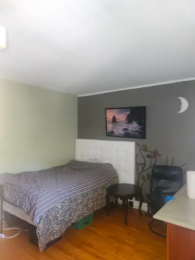 Longueuil une chambre collocation dans 4.demi. Wi fi 2 frigo.2 micro ond. Lit double. Svp d écrire v...