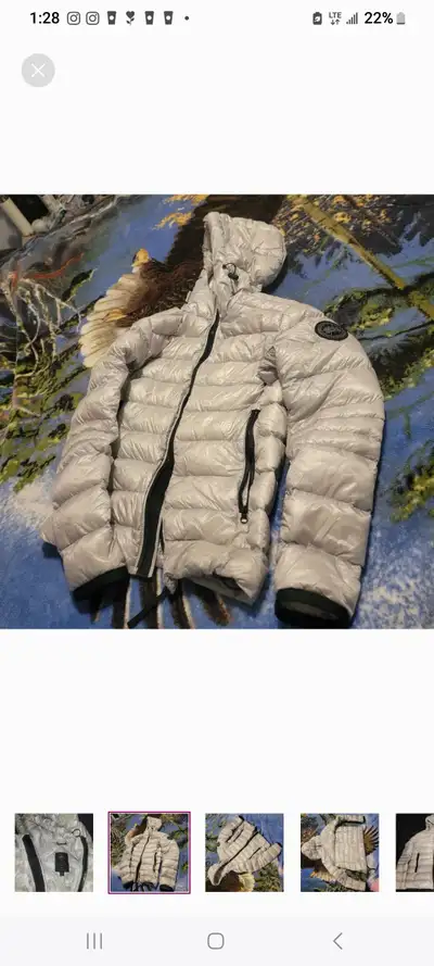 Canada goose for sale female, View more
