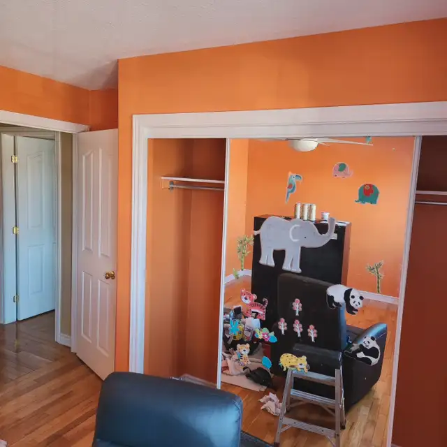 Reliable Painter Quality Painting Service Affordable Price63782575191425120
