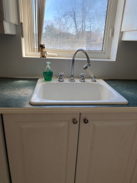 Kitchen Sink  and faucet and water spray