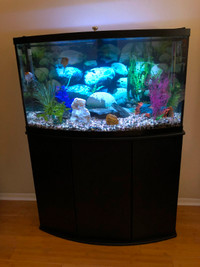 45gal fish tank, bow front, and accessories
