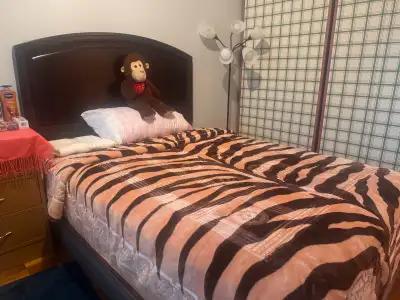 Full furnished basement for rent