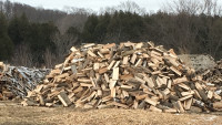 Dry Campfire Wood, Free Delivery 