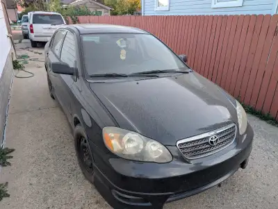2007 Corolla for sale. 215000kms. Has been a reliable vehicle, have owned it since 2012. I do have t...