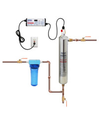 Whole house water disinfection system 
