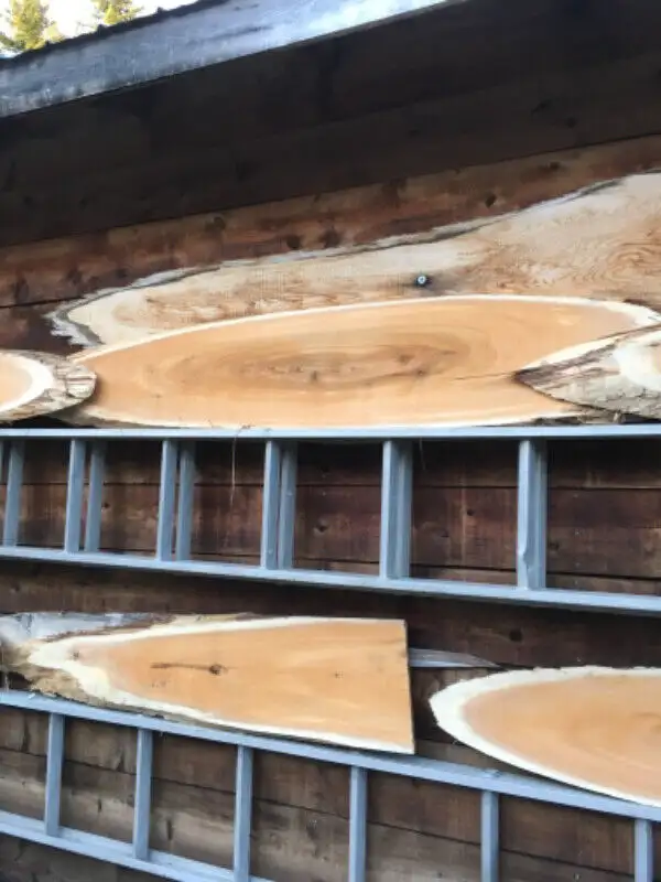 Enseigne Bois Cèdre live edge in Arts & Collectibles in Edmundston - Image 9