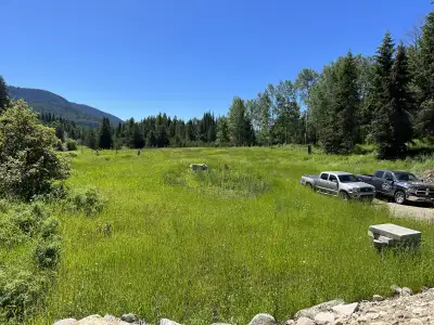 We are putting this offer out there for our acreages for sale. 3% Financing on Lease to purchase, LI...