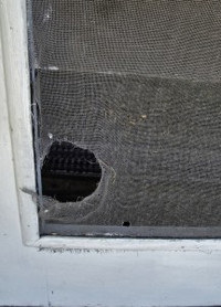 Sarnia Window / Patio Door Screen Repair