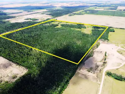 Online Auction of 10 Parcels Selling Separate, Including 160± Acre Deeded Land, SML's, DML's, DLO's...