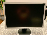 LG 20 inch monitor 