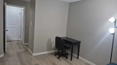 Looking for girls who can rent an apartment which is fully furnished with a bed and a bathroom also...