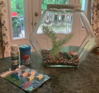 Aquarium, Glass Fish Bowl, Hex shape, Vintage,  incl food & cond