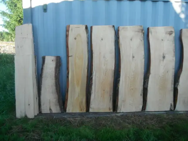 Live edge pine slabs for cottage or patio tables in Outdoor Décor in Ottawa - Image 3