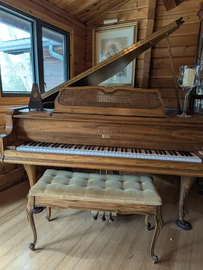 GRAND PIANO, View more