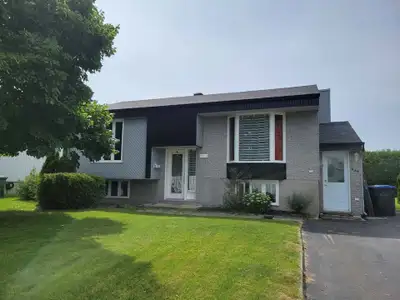 1 petit chien Disponible immediatement. Mois mai GRATUIT. Possible pour le 1er juillet rue ardoise l...