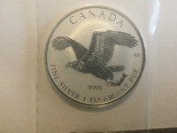 2017  $5 Bird of Prey 1oz Silver Maple Leaf coin