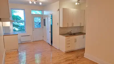 3 1/2 +bureau, Vieux Rosemont, Complétement rénové, 1er août