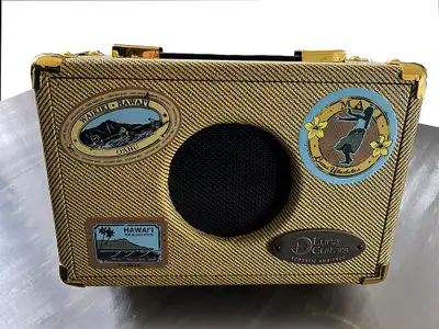 Luna Guitars Acoustic Ambience Amp – Battery Powered & AC, View more