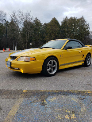 1998 Ford Mustang Cobra package 