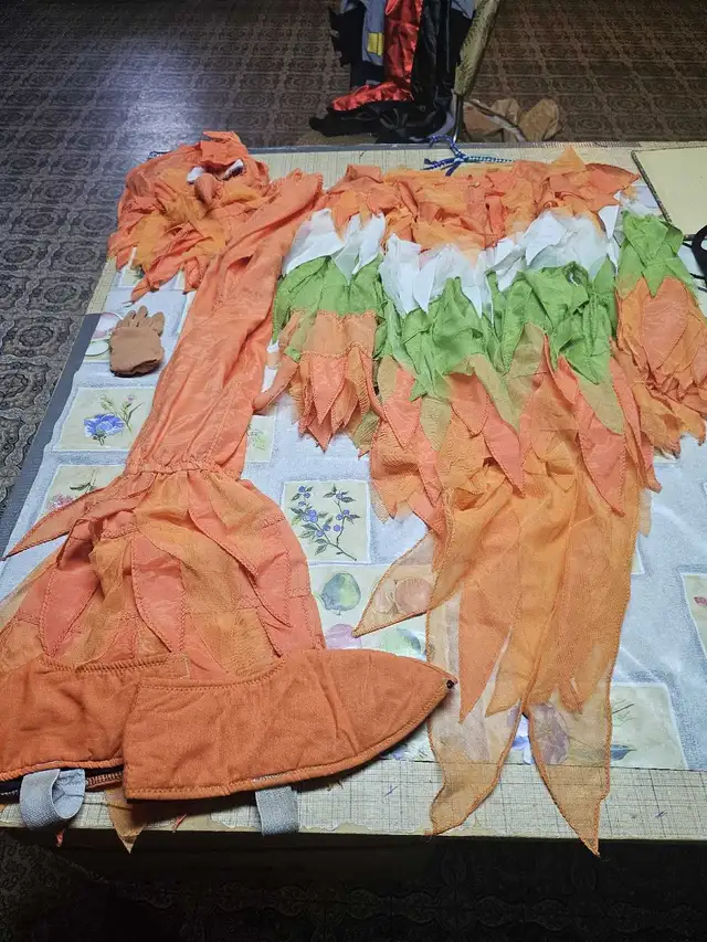 Costume Oiseau, medium in Costumes in Sherbrooke - Image 3