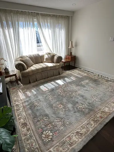 Beautiful Rug - No Stain or smell!, View more