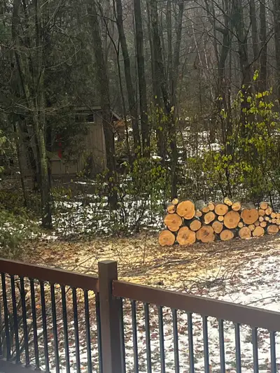 Free Maple Hardwood, View more