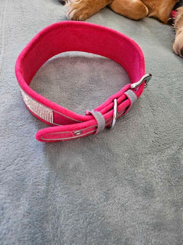 Bling rhinestones pink dog collar large in Accessories in Kitchener / Waterloo - Image 4