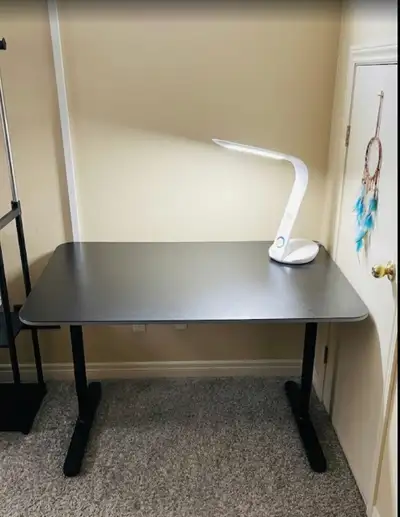 Adjustable Standing Desk, View more