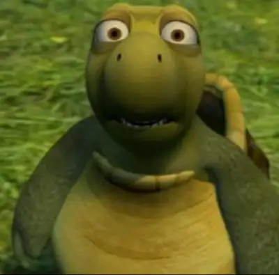 need a turtle (rehoming) plz contact , View more