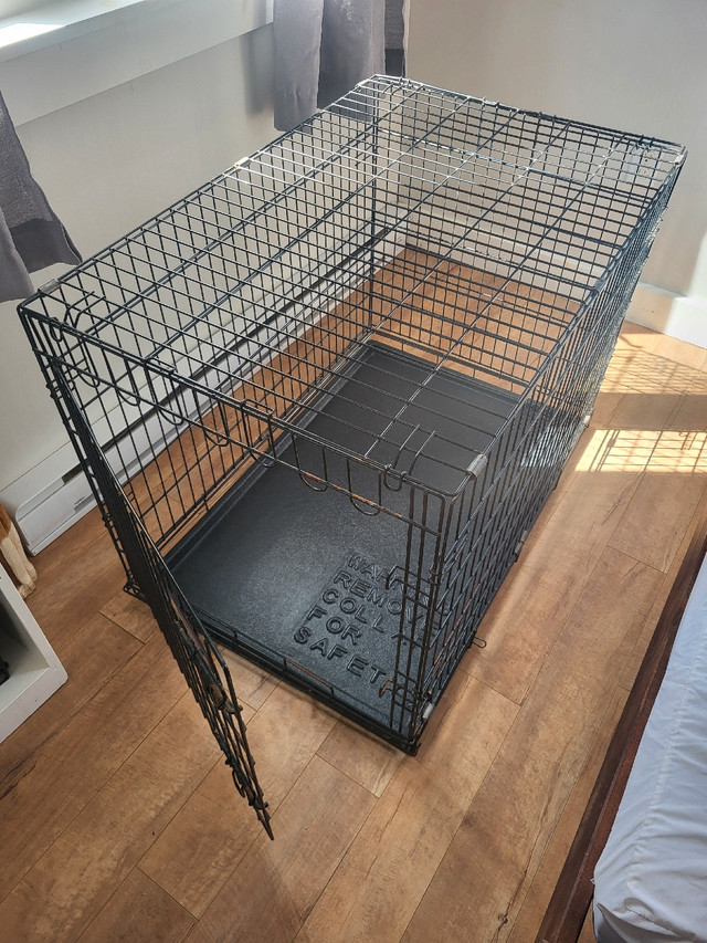 Large Dog Kennel in Accessories in Truro