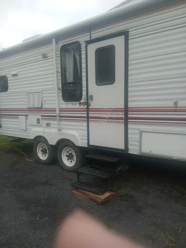 looking for a place to call home  