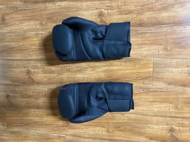 Boxing Gloves in Other in Mississauga / Peel Region - Image 3