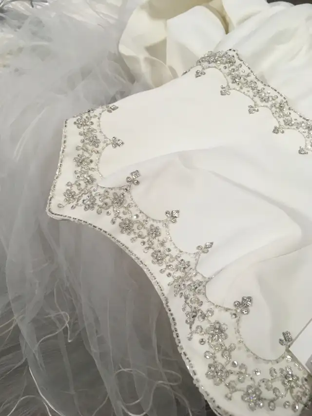 Elegant Demetrios wedding gown in Wedding in Saskatoon - Image 8