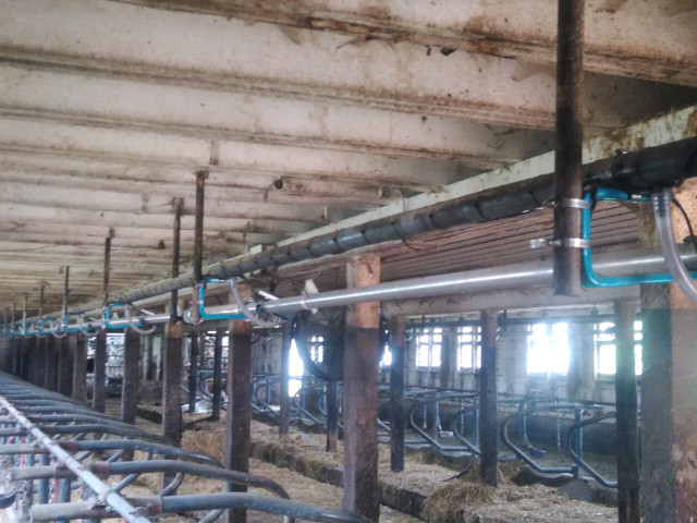 Milking equipment  in Other in Charlottetown - Image 2