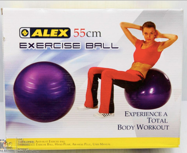 EXERCISE BALL in Exercise Equipment in Markham / York Region - Image 3