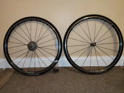 Roues Bontrager Paradigm Elite TLR avec pneux Vittoria Rubino, View more