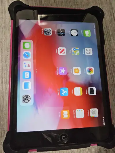 iPad Mini :  one WiFi, other LTE+WiFi, View more