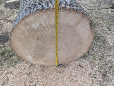 Rare opportunity to get a high-quality ash log in excellent condition. This section measures 32 inch...