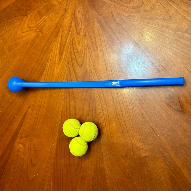 Chuck It Ball Launcher with 3 Balls Accessories City of Toronto